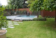 View of Pool and Lawn