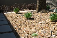 Feature pebble mulch and steping stones