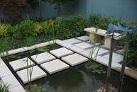View of Waterfeature and Stepping Stones