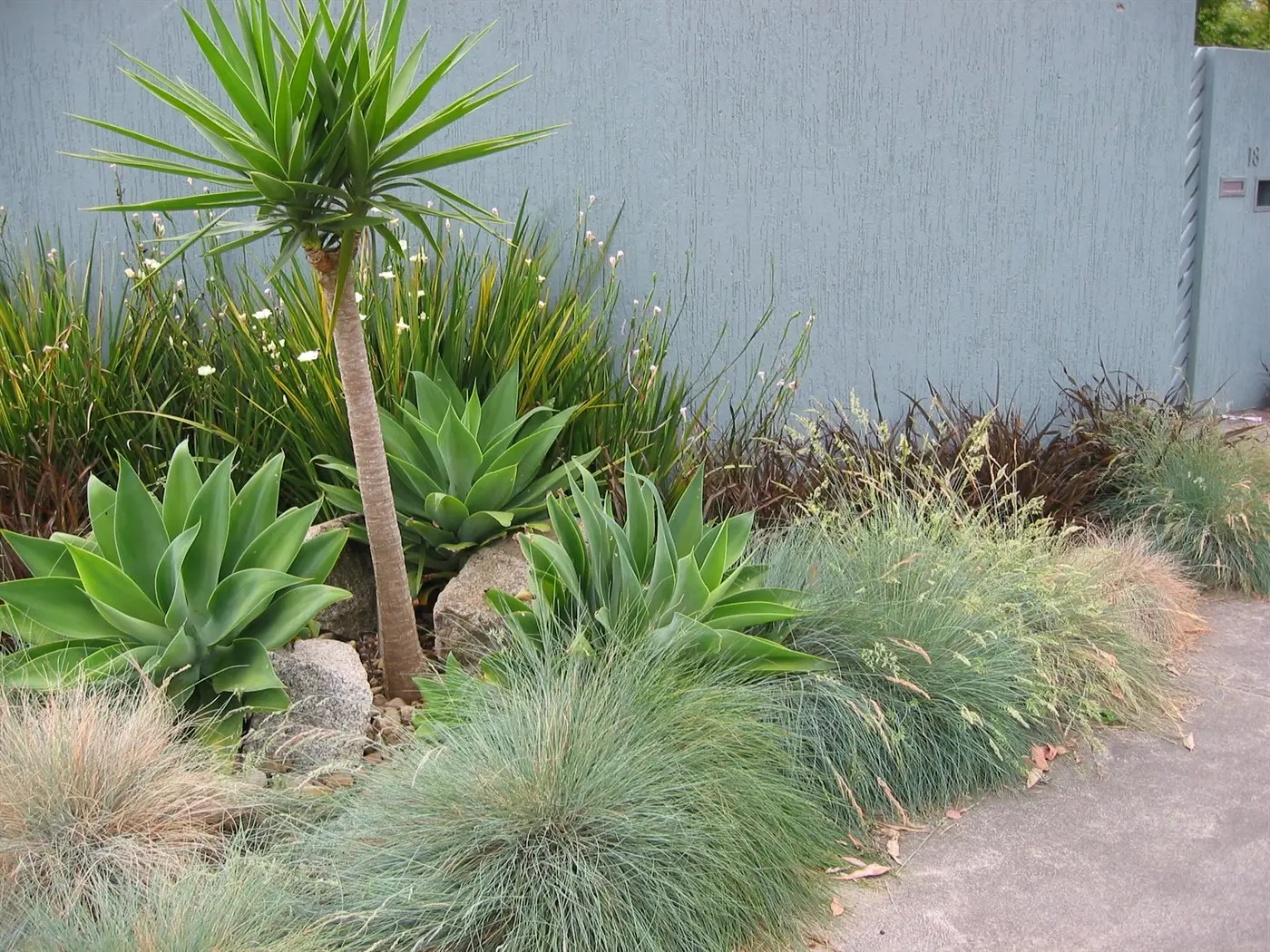 Detail of front planting