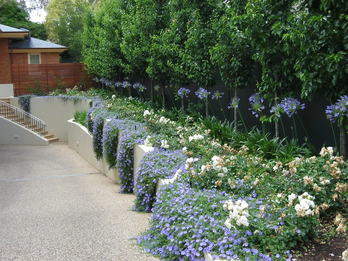 View of Driveway side planting