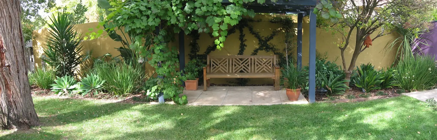 View of pergola and garden wall