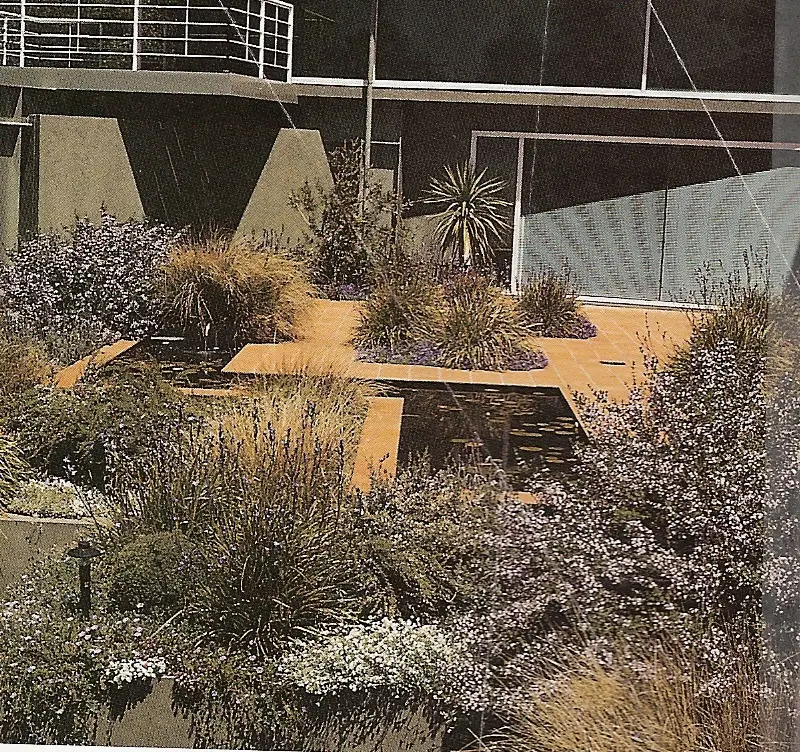 View of Garden & Waterfeature