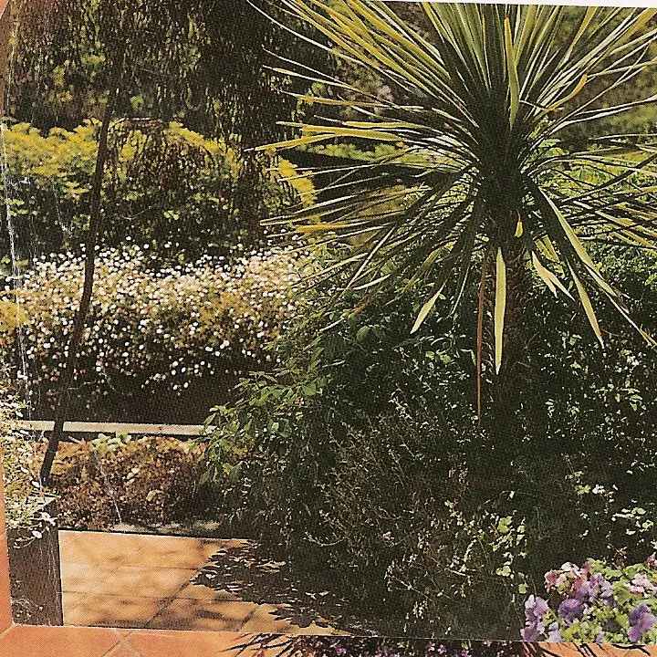 View of garden